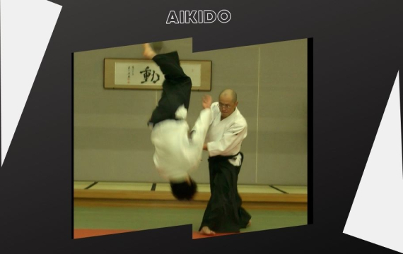 Zen and Aikido for wellness